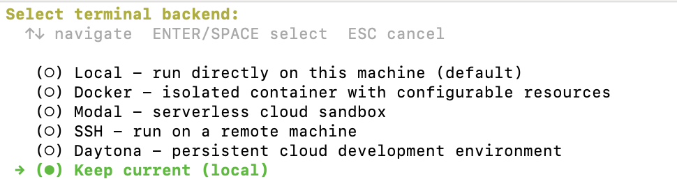 Terminal backend picker: Local, Docker, Modal, SSH, Daytona